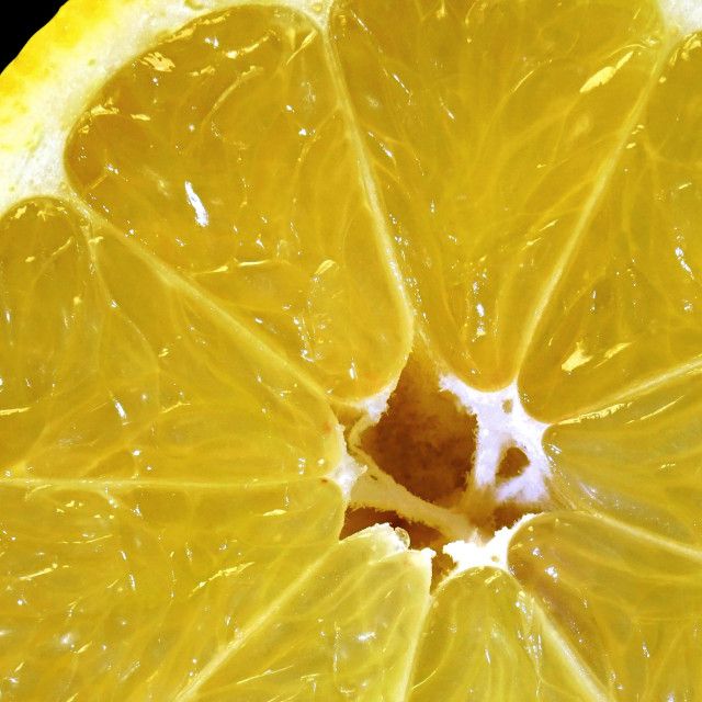 the inside of a lemon slice with water droplets on it