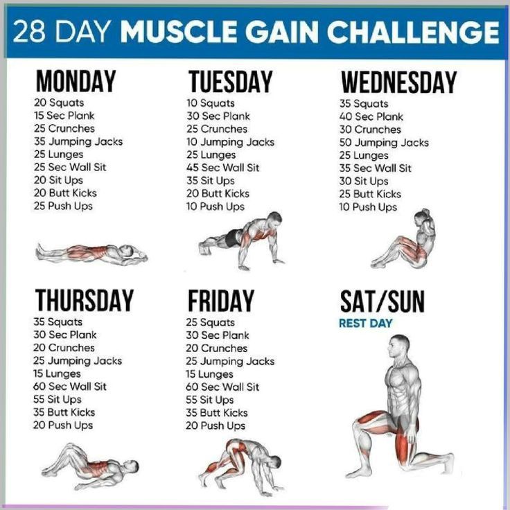 the 28 day muscle gain challenge is shown in this image, and shows how to do it