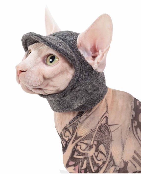 a cat wearing a hat with tattoos on it's head and neck is looking at the camera