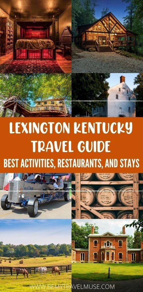 the kentucky kentucky travel guide is featured in this postcard with images of farm buildings and horses