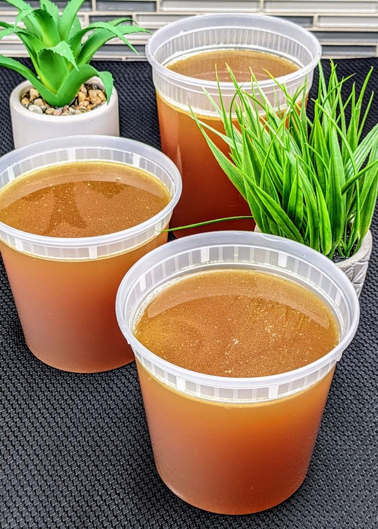 three plastic cups filled with liquid next to plants