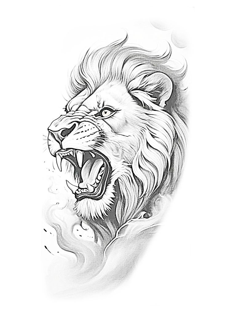 a drawing of a lion's head with flames coming out of its mouth and eyes