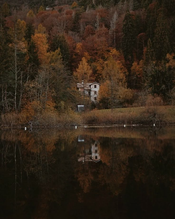 a house sitting on top of a lake surrounded by trees