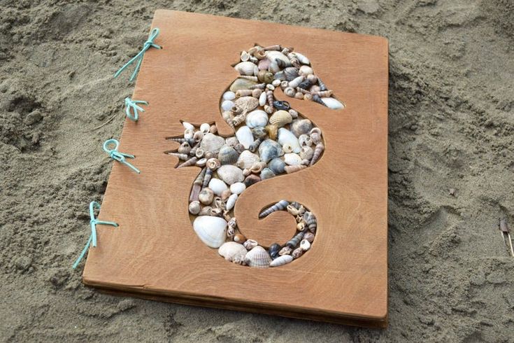 a wooden plaque with sea shells and a lizard on it's side in the sand