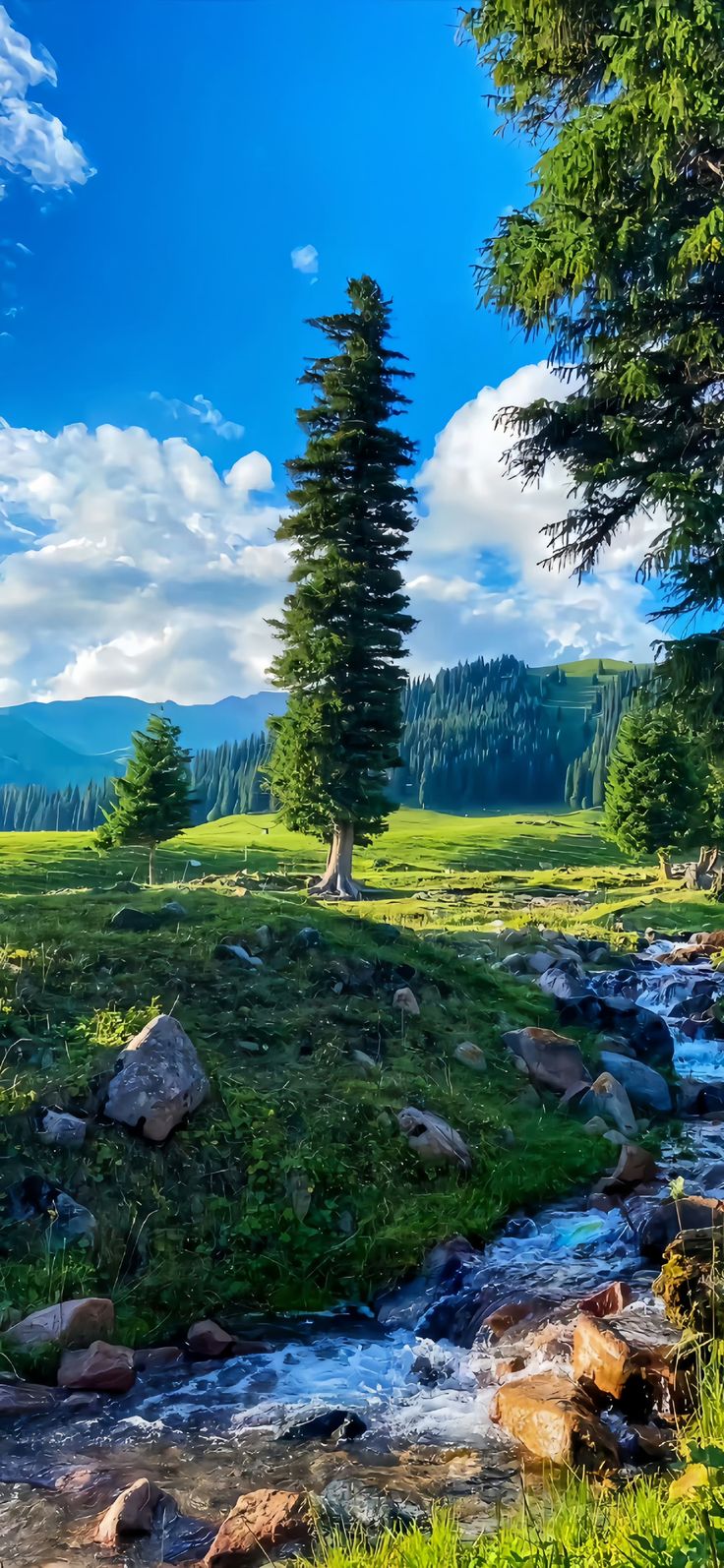 a stream running through a lush green forest filled with rocks and trees on a sunny day