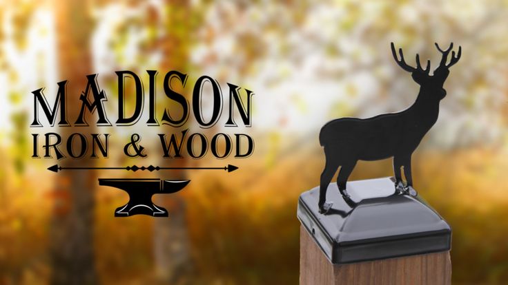 Madison Iron and Wood