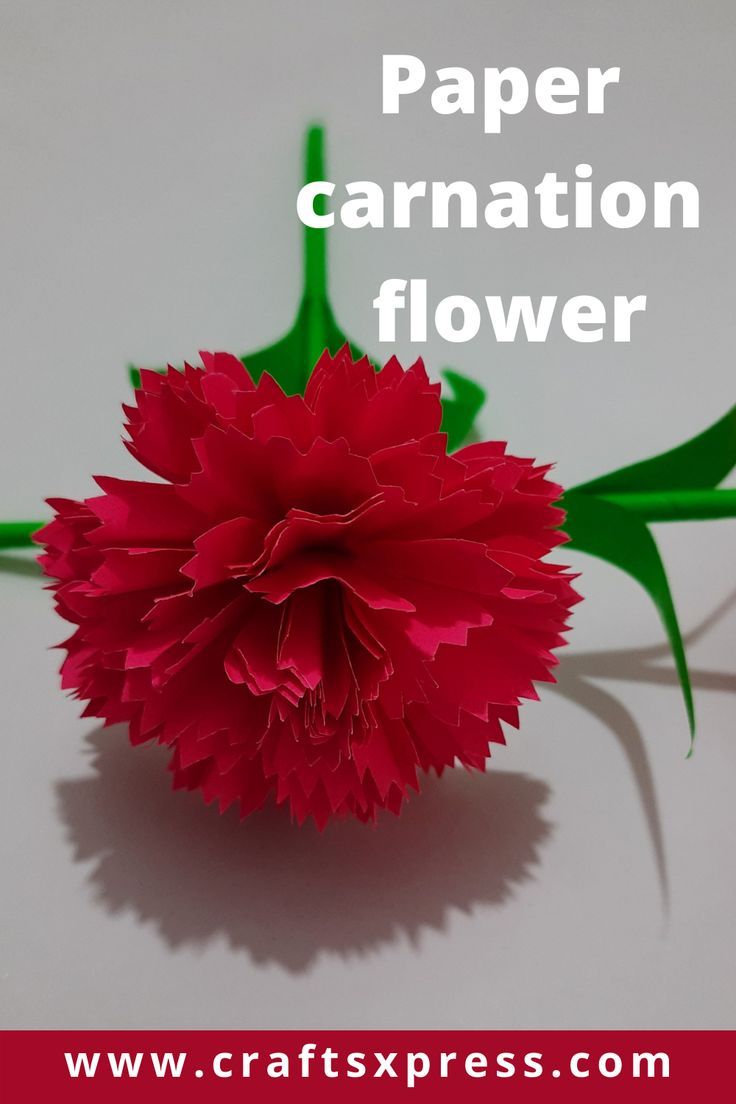 a red flower with the words paper carnation flower on it's bottom corner