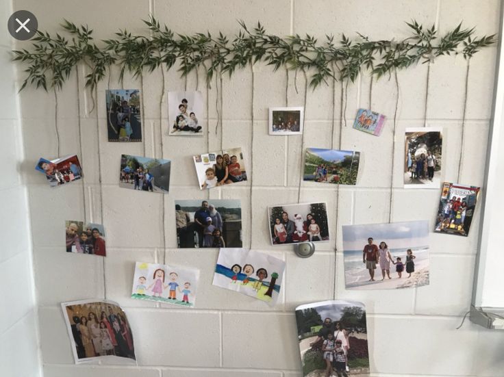 a bunch of pictures hanging on the wall in a room with white tiles and green plants