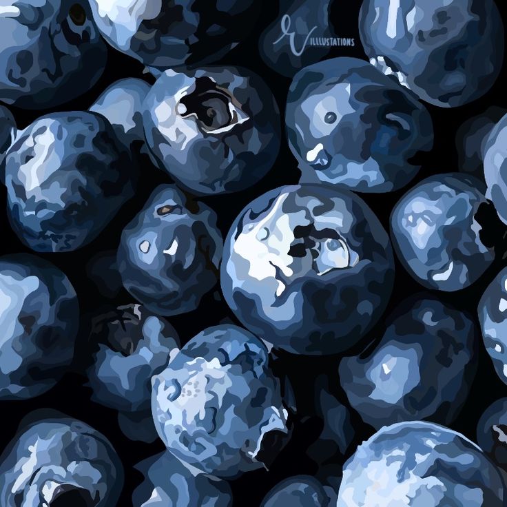 blueberries are shown in this artistic painting