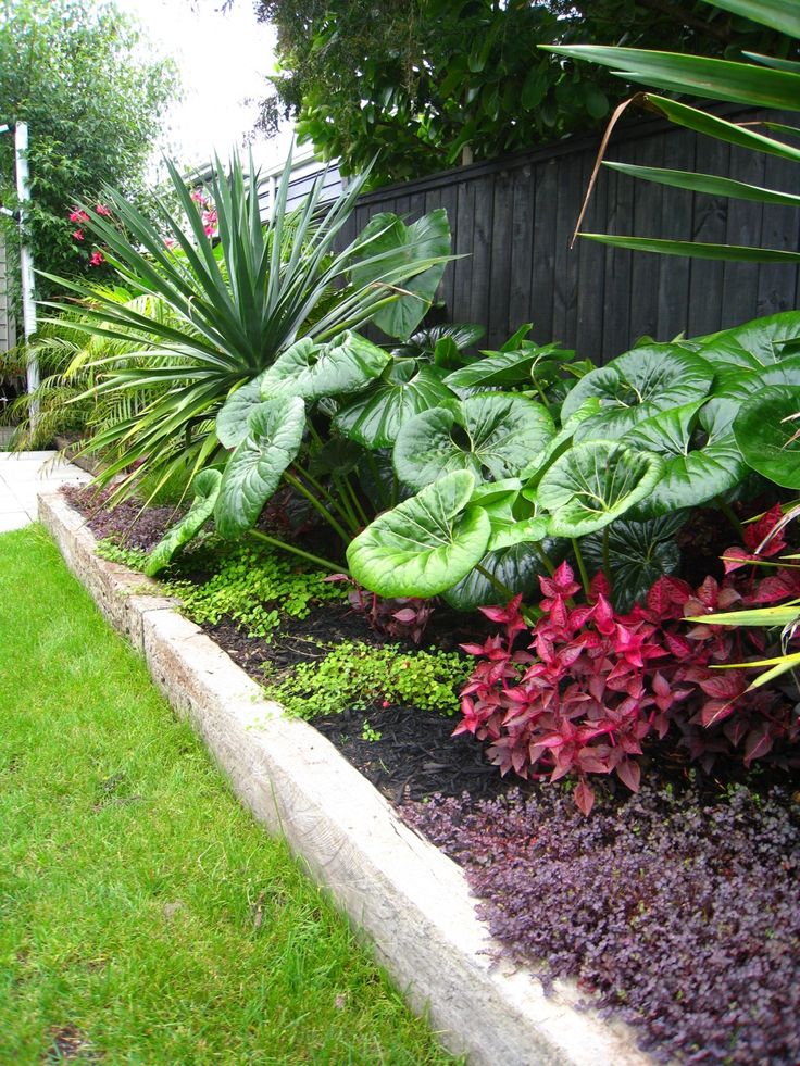 a garden filled with lots of green and red plants