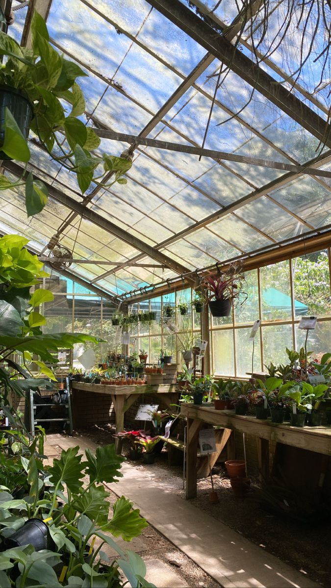 the inside of a greenhouse with lots of plants and potted plants on tables in it