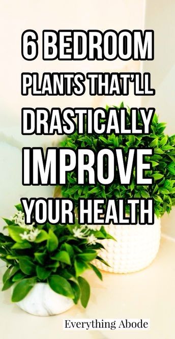 a potted plant with the words 6 bedroom plants that'll dramatically improve your health