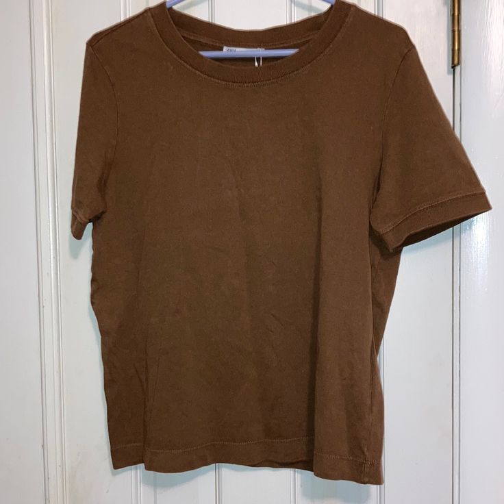 Brand New Never Worn Size: Large Brown Short Sleeve T-shirt For Spring, Brown Crew Neck Top For Spring, Brown Graphic Tee Tops For Everyday, Basic Tan Short Sleeve Tops, Zara Short Sleeve Tops For Fall, Basic Brown Short Sleeve Tops, Zara Casual Fall T-shirt, Zara Basic Crew Neck Top, Zara Tshirt