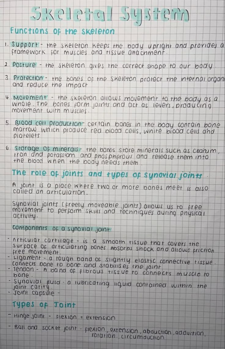 a piece of paper with writing on it that says structural system functions of the skeleton