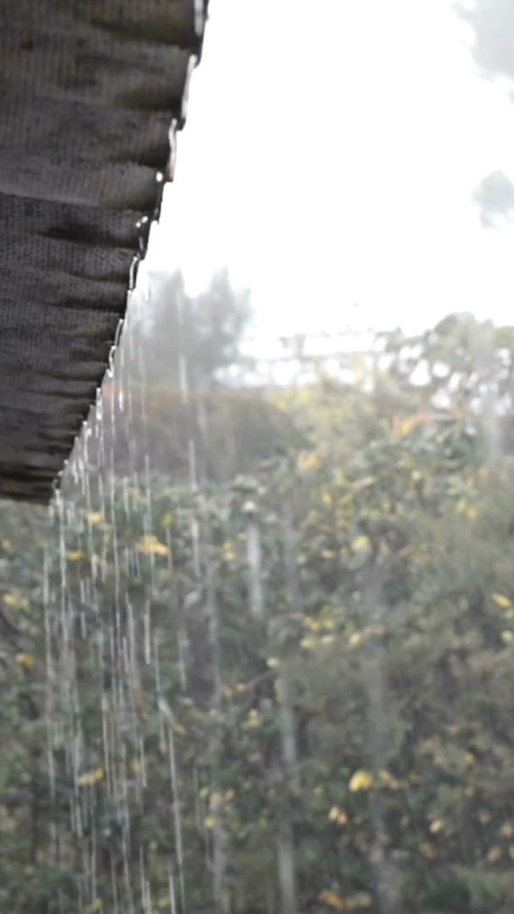 the rain is pouring down from the roof and onto the tree tops in the background