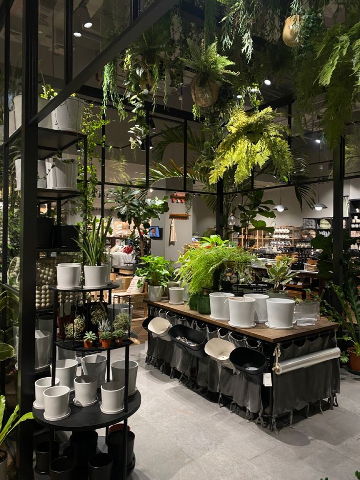 a room filled with lots of potted plants