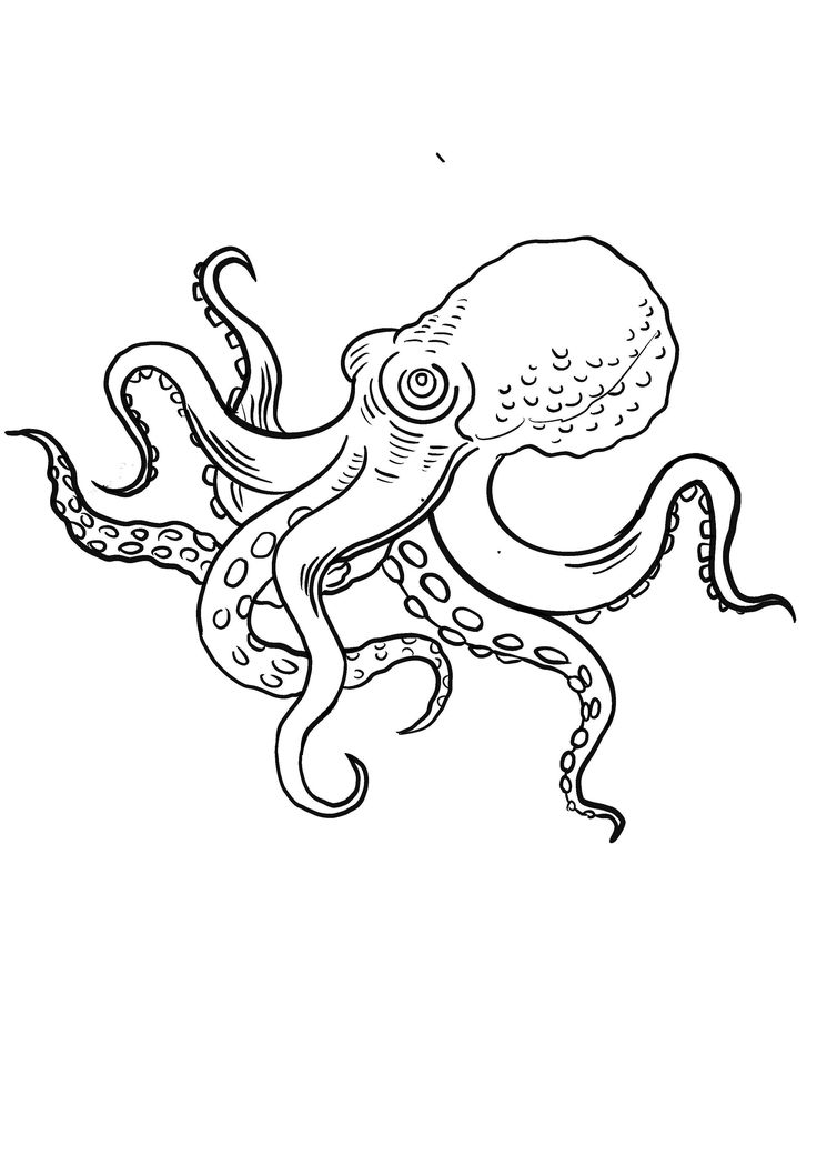 an octopus is swimming in the ocean coloring pages for adults and children to print out