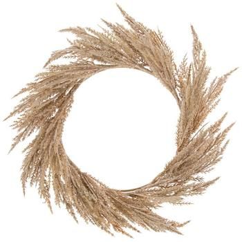 dried grass on a white background