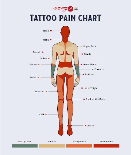 the anatomy of a man's body and its major parts, including his muscles