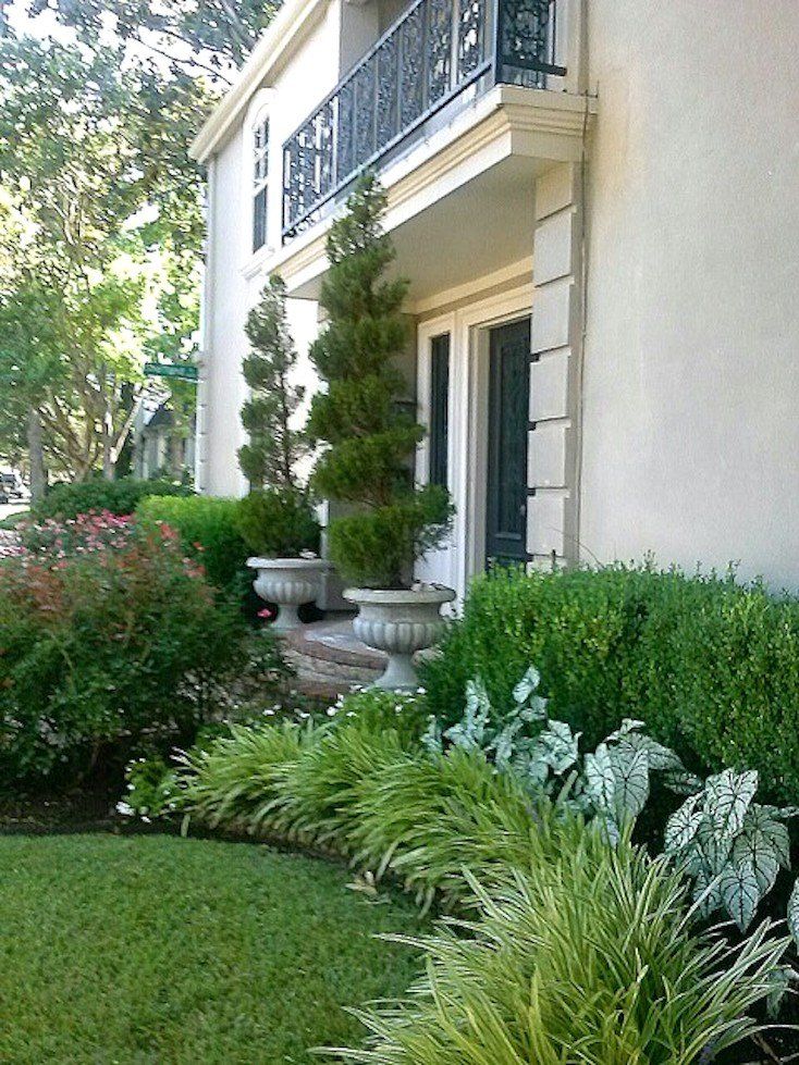 a white house with lots of green plants in the front yard