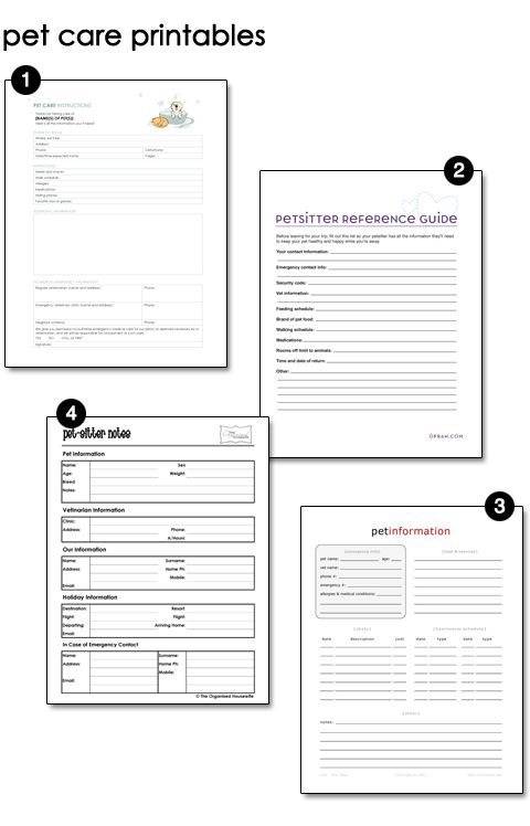 four pet care printables are shown with the instructions for each item in this set