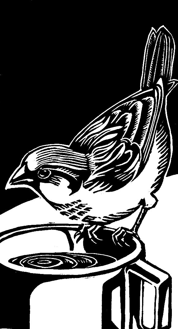 a black and white drawing of a bird sitting on top of a bowl with water in it