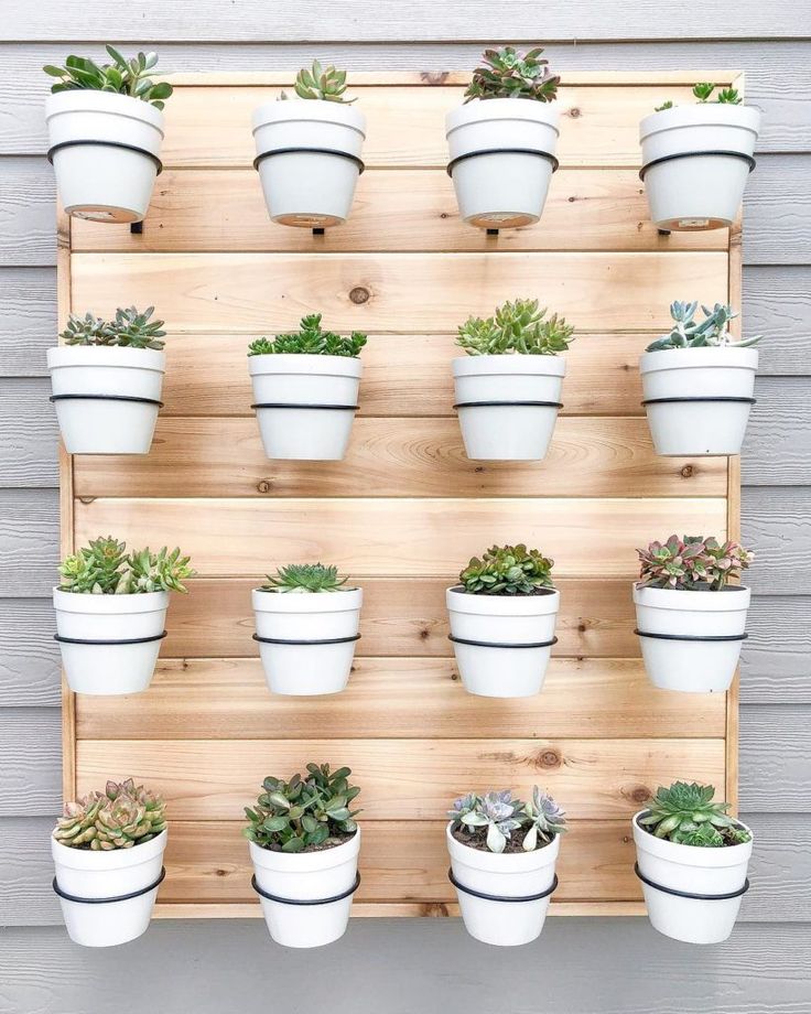 a wall mounted potted plant rack on the side of a building with succulents in it