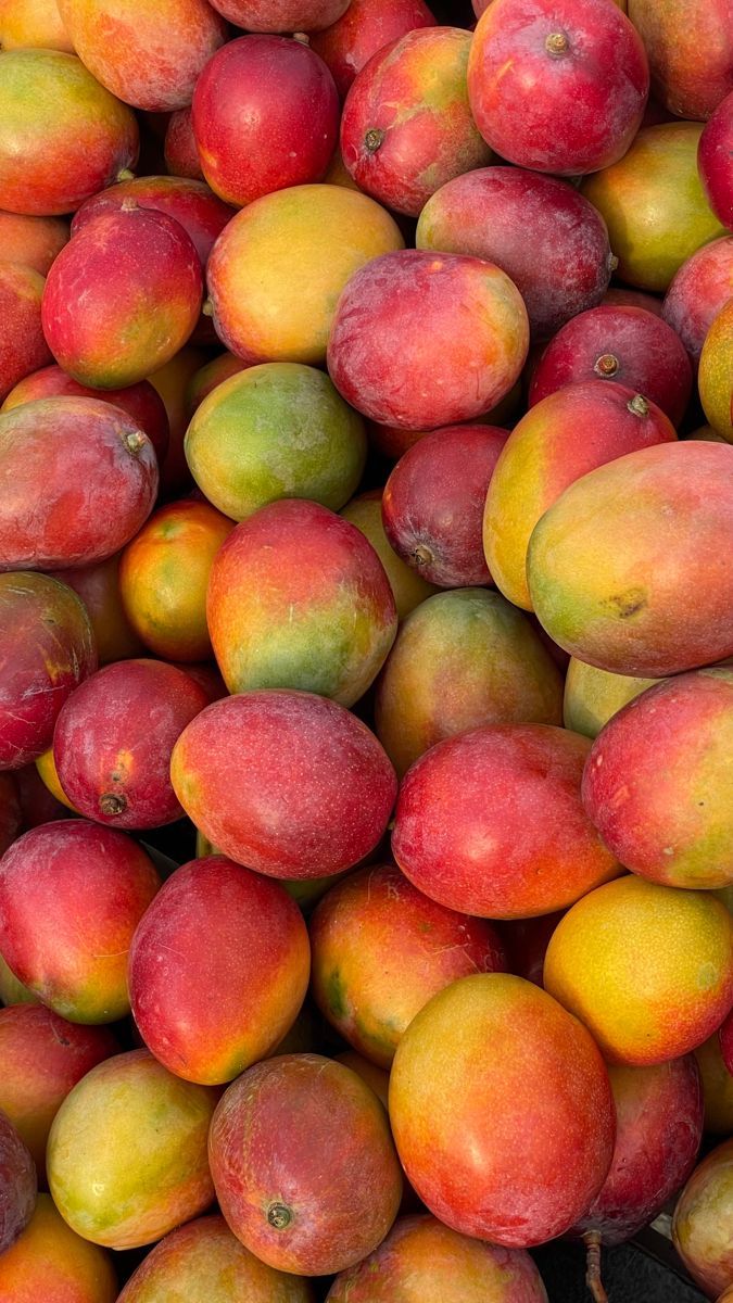 a pile of mangoes sitting next to each other