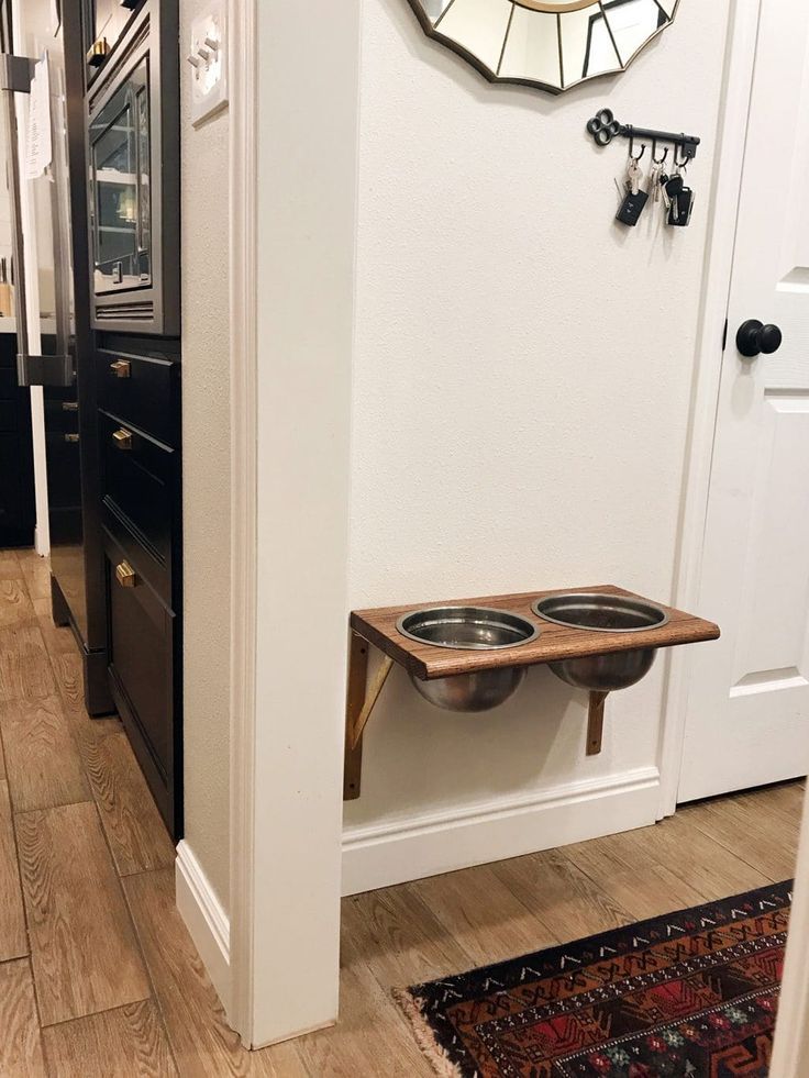 a dog bowl on the wall in a hallway