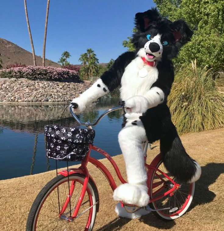 a stuffed dog riding on the back of a red bike next to a lake and palm trees