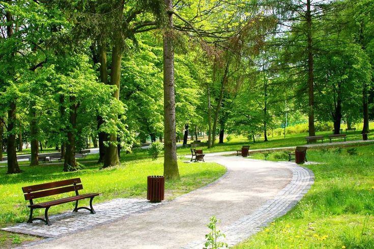 a park with several benches and trees in the distance, along side a paved path