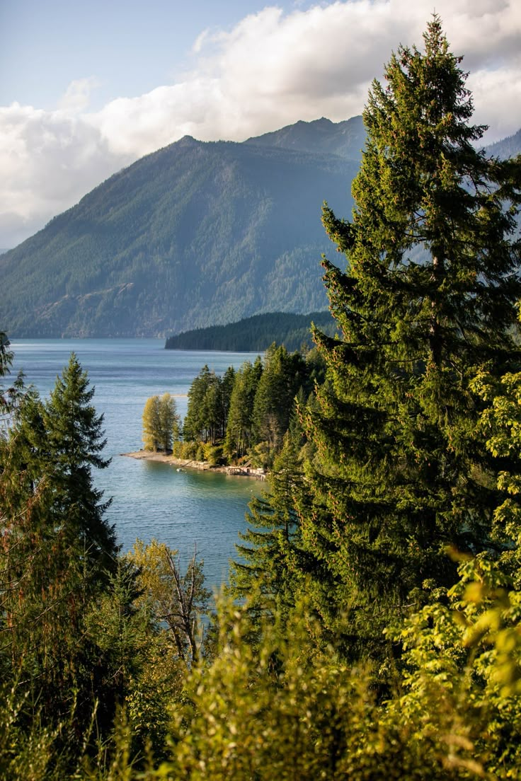 a scenic view of a lake surrounded by trees