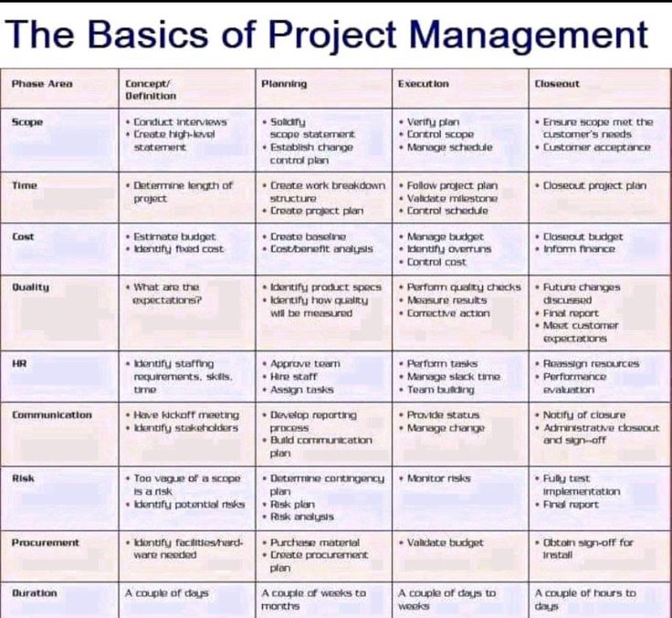 the basics of project management chart