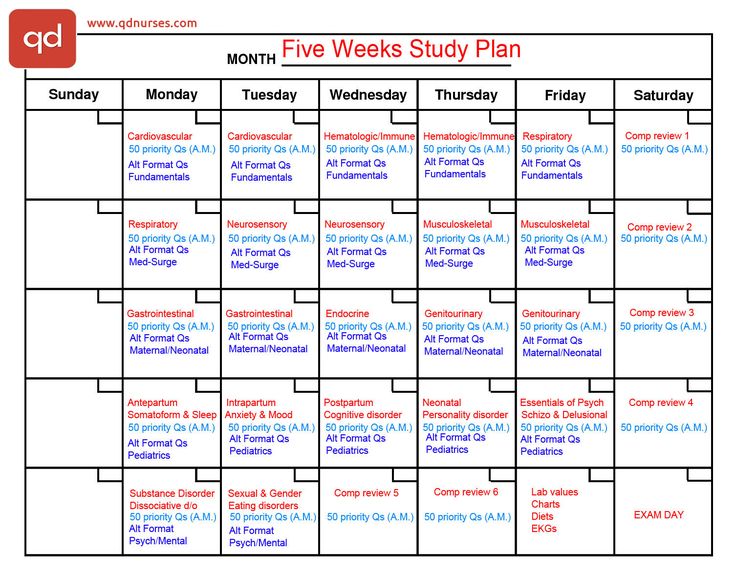 the five week study plan is shown in red