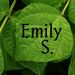 EmilyS947