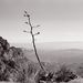 willowhousebigbend