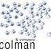 colmanandco