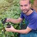 strawberrygardening