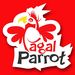 pagalparrot