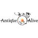 antiquealive9