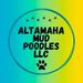 altamahamudpoodles