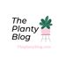 theplantyblog