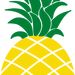 pineapplemoney