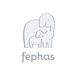 fephasbaby