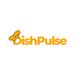 dishpulse