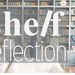 shelfreflectionblog