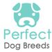 perfectdogbreeds