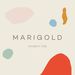 marigoldmodern