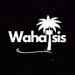 wahasis