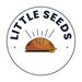 littleseedsblog